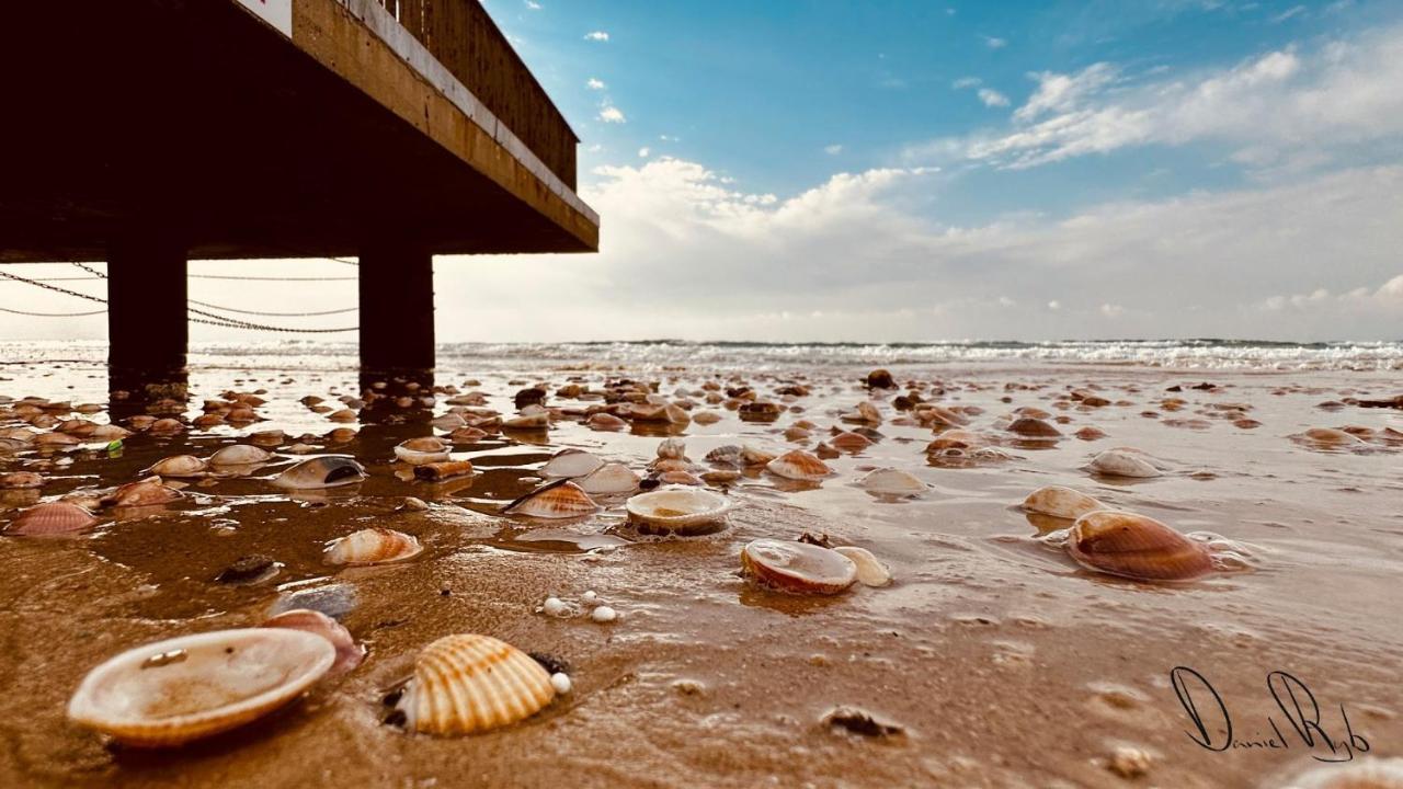 Roxon Sea Sand Bat Yam Dış mekan fotoğraf